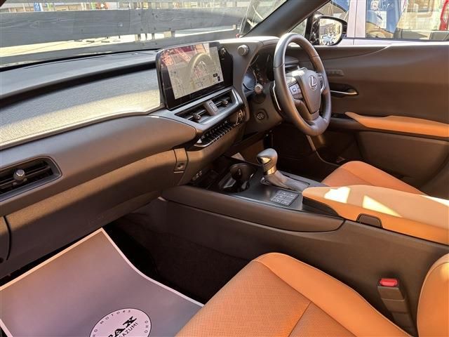 TOYOTA LEXUS UX250H 2023 Image 31