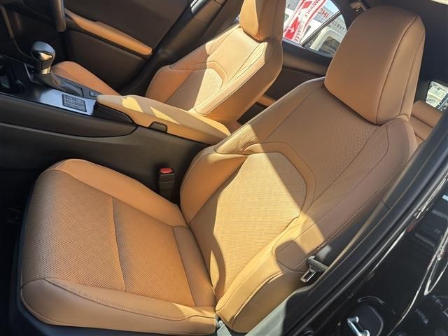 TOYOTA LEXUS UX250H 2023 Image 31