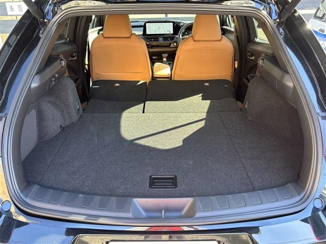 TOYOTA LEXUS UX250H 2023 Image 31