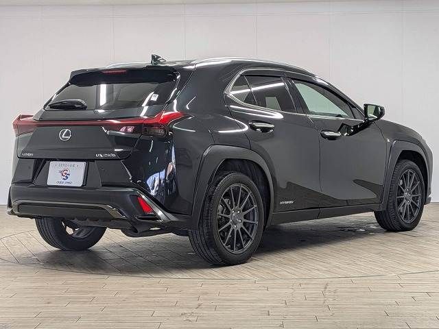TOYOTA LEXUS UX250H AWD 2022 Image 31