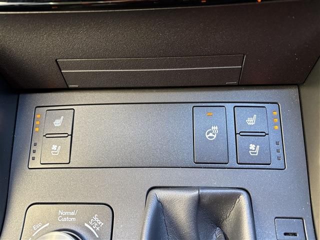 TOYOTA LEXUS IS300H 2020 Image 31