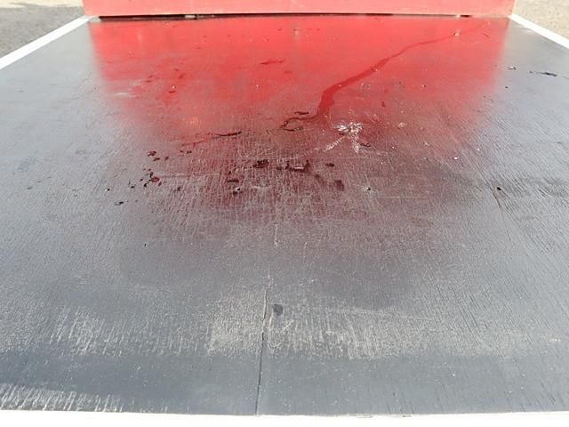 ISUZU ELF 2015 Image 31