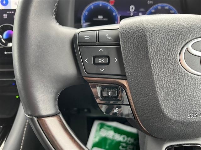 TOYOTA ALPHARD 2024 Image 31