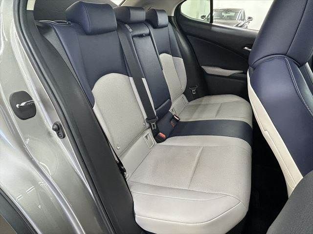 TOYOTA LEXUS UX250H 2019 Image 31
