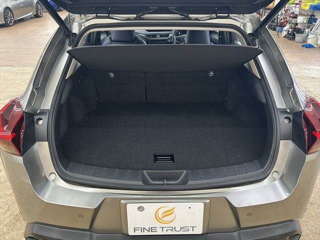 TOYOTA LEXUS UX250H 2019 Image 31