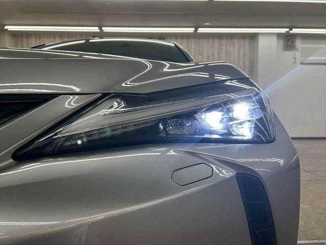 TOYOTA LEXUS UX250H 2019 Image 31