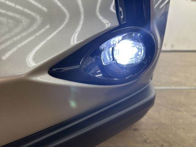 TOYOTA LEXUS UX250H 2019 Image 31