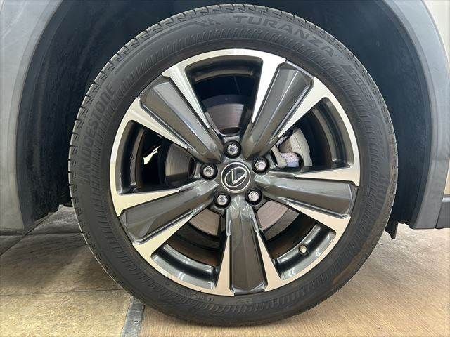 TOYOTA LEXUS UX250H 2019 Image 31