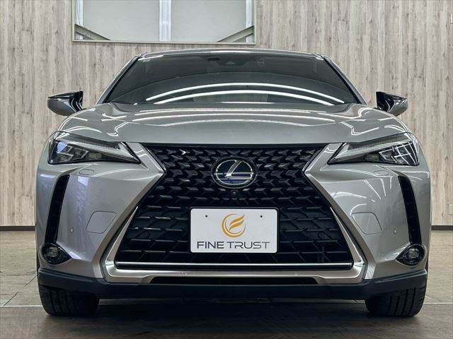 TOYOTA LEXUS UX250H 2019 Image 31