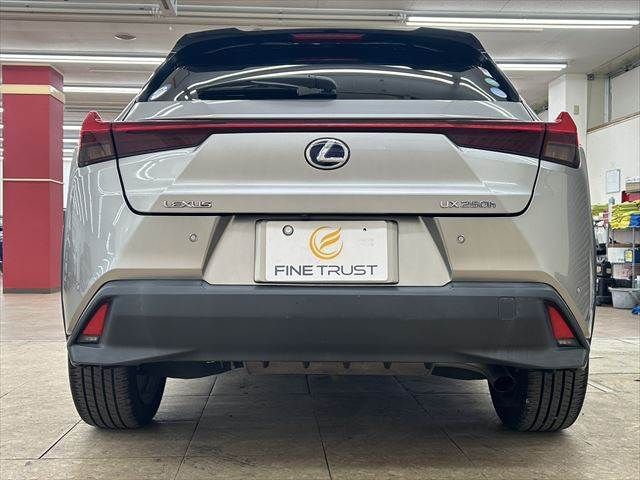 TOYOTA LEXUS UX250H 2019 Image 31