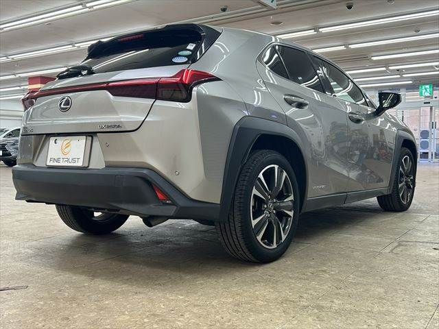 TOYOTA LEXUS UX250H 2019 Image 31