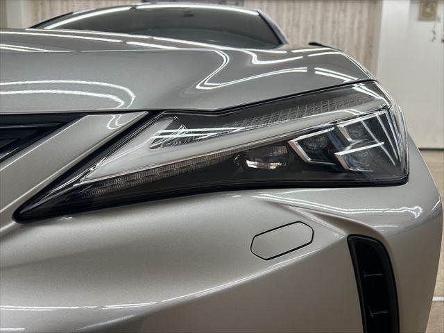 TOYOTA LEXUS UX250H 2019 Image 31