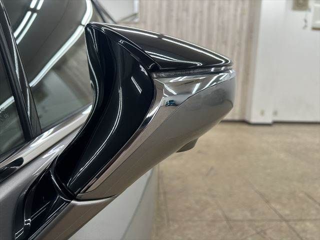 TOYOTA LEXUS UX250H 2019 Image 31