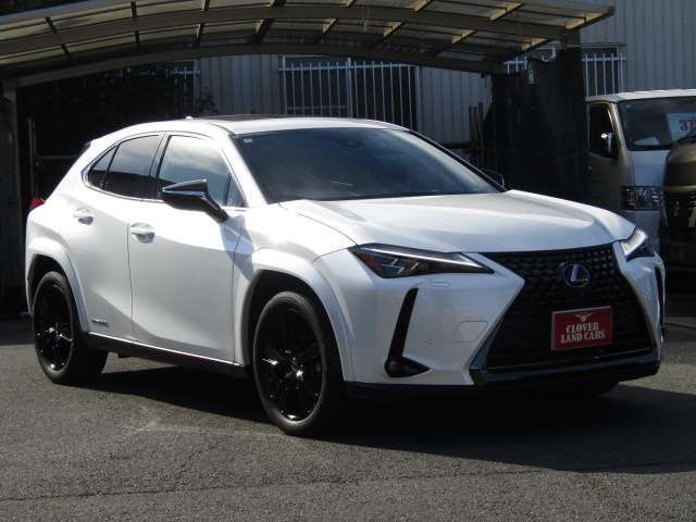 TOYOTA LEXUS UX250H 2022 Image 31