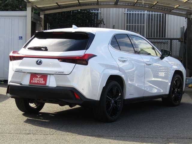 TOYOTA LEXUS UX250H 2022 Image 31