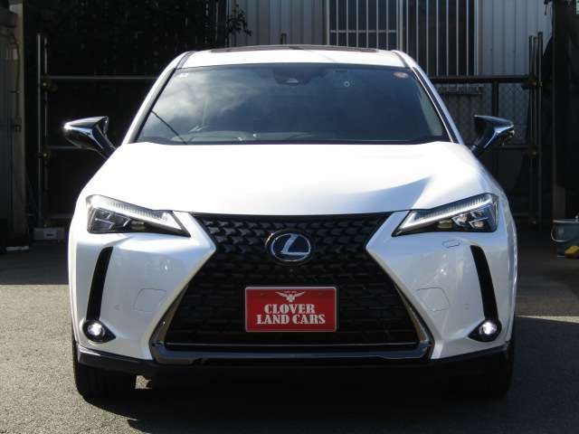 TOYOTA LEXUS UX250H 2022 Image 31