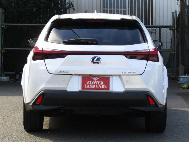 TOYOTA LEXUS UX250H 2022 Image 31