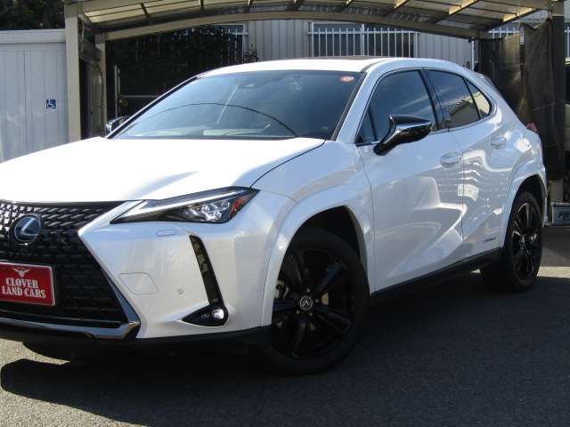 TOYOTA LEXUS UX250H 2022 Image 31