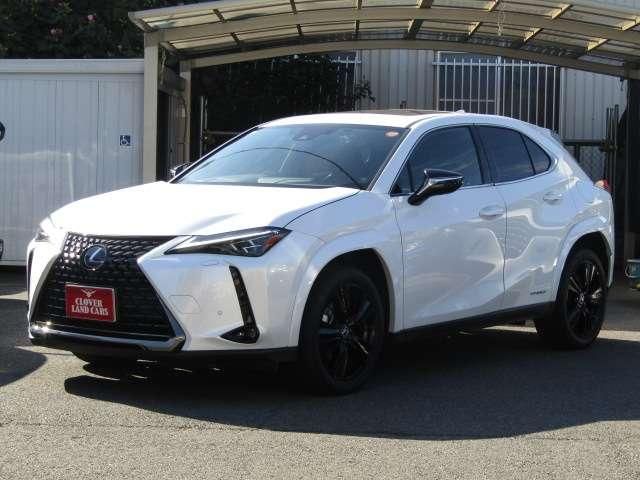 TOYOTA LEXUS UX250H 2022 Image 31