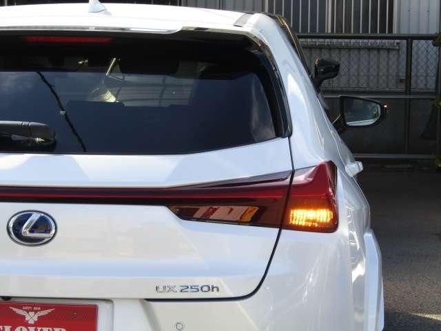 TOYOTA LEXUS UX250H 2022 Image 31
