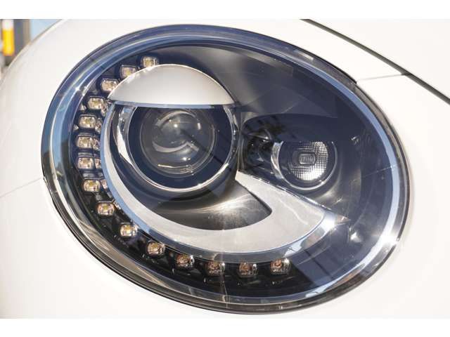 VOLKSWAGEN THE BEETL 2017 Image 31