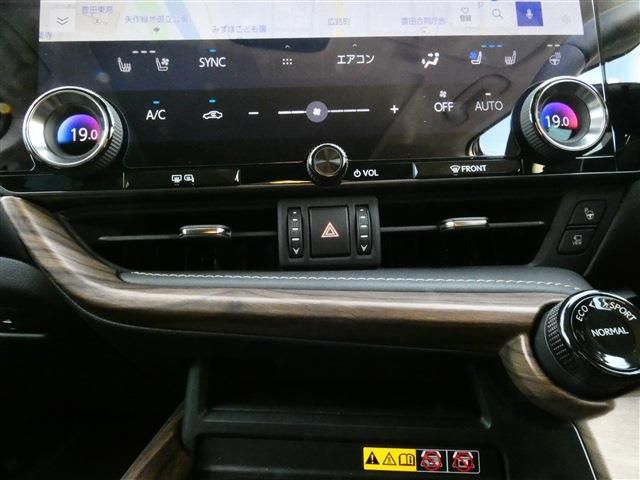 TOYOTA LEXUS NX450H+ AWD 2024 Image 31