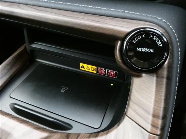 TOYOTA LEXUS NX450H+ AWD 2024 Image 31