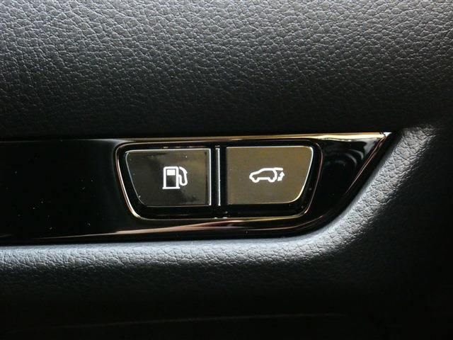 TOYOTA LEXUS NX450H+ AWD 2024 Image 31