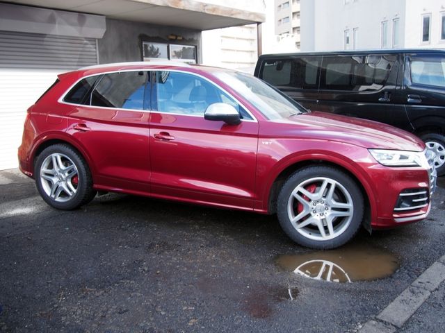 AUDI SQ5 2018 Image 31