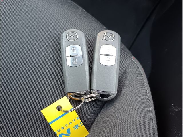 MAZDA DEMIO 4WD 2015 Image 31