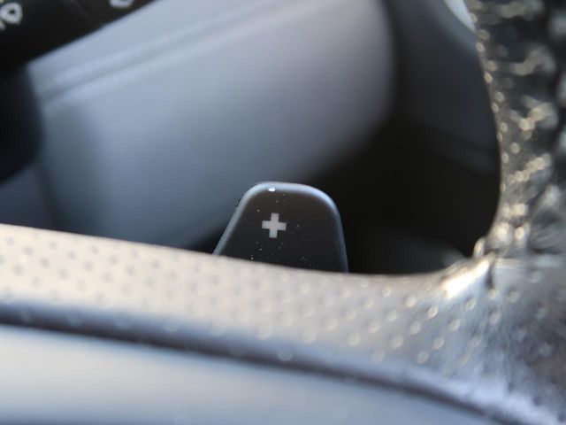 ROVER RANGE  EV 2018 Image 31