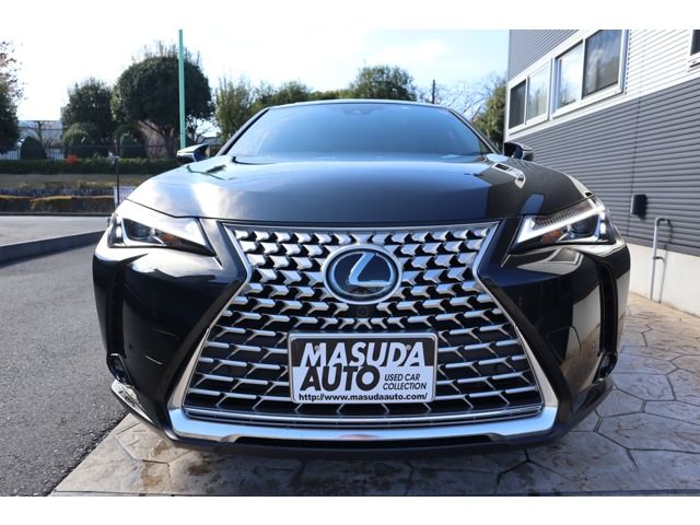 TOYOTA LEXUS UX250H 2023 Image 31