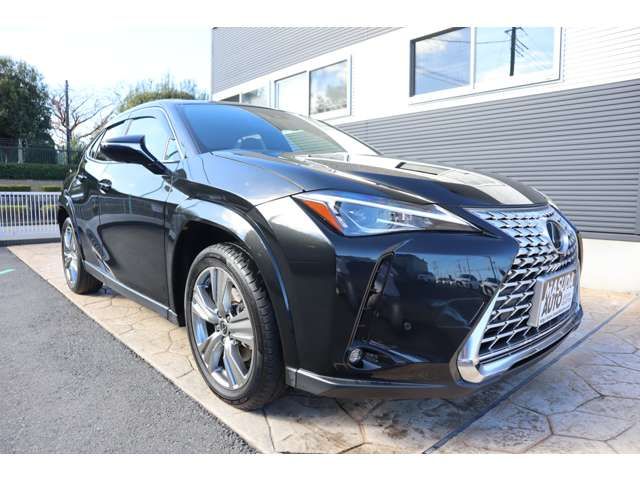 TOYOTA LEXUS UX250H 2023 Image 31