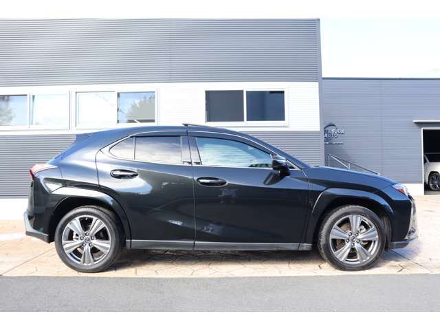 TOYOTA LEXUS UX250H 2023 Image 31