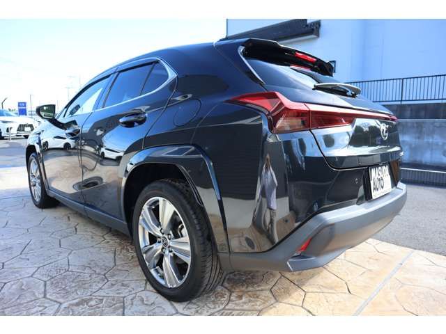 TOYOTA LEXUS UX250H 2023 Image 31