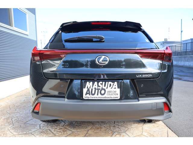 TOYOTA LEXUS UX250H 2023 Image 31