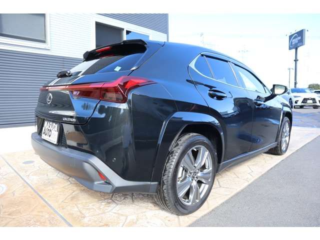 TOYOTA LEXUS UX250H 2023 Image 31