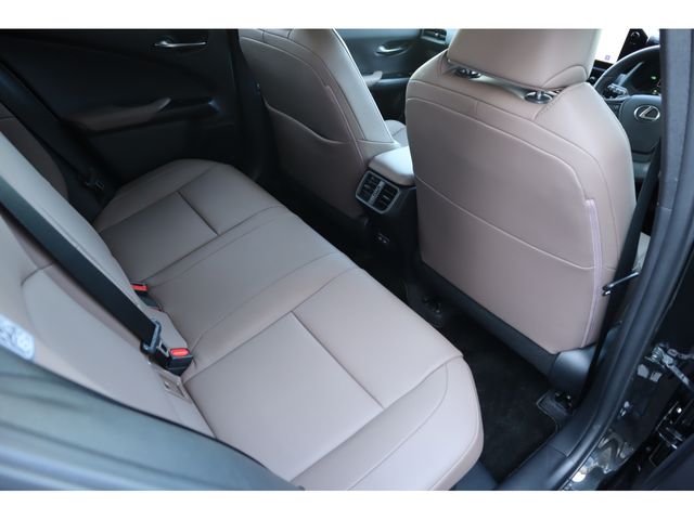TOYOTA LEXUS UX250H 2023 Image 31