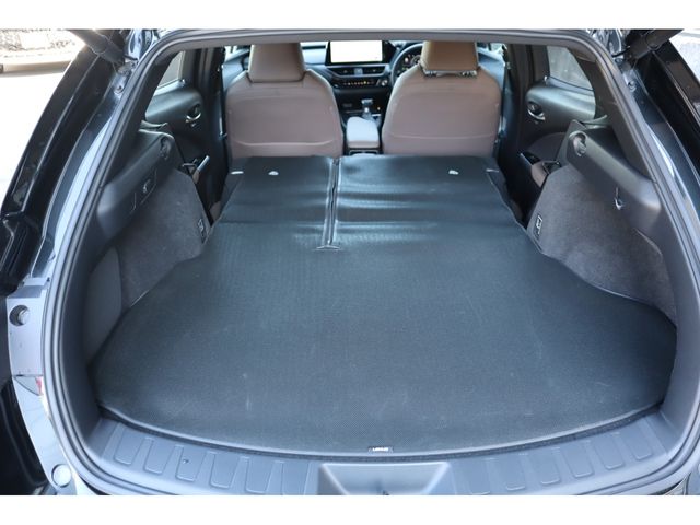 TOYOTA LEXUS UX250H 2023 Image 31