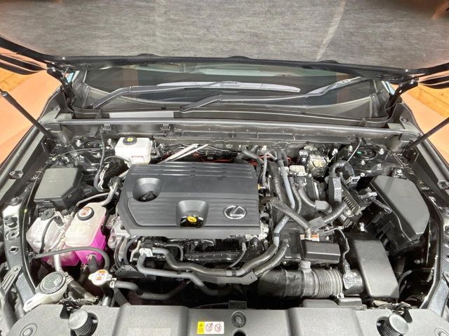 TOYOTA LEXUS NX350H 2022 Image 31