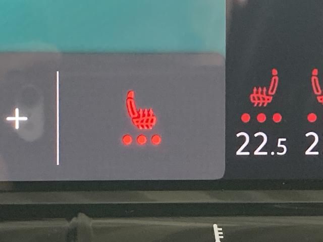 VOLKSWAGEN GOLF R 2022 Image 31