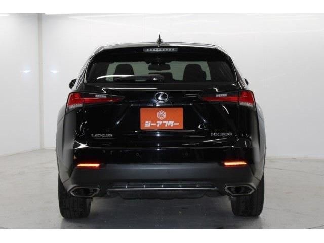 TOYOTA LEXUS NX300 2018 Image 31