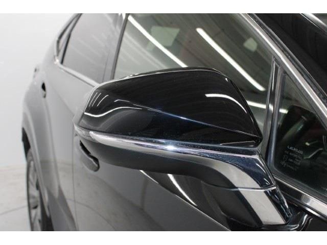 TOYOTA LEXUS NX300 2018 Image 31