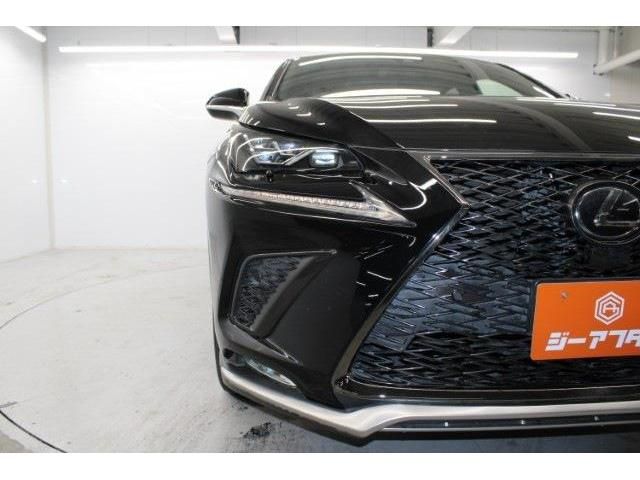 TOYOTA LEXUS NX300 2018 Image 31