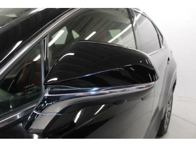 TOYOTA LEXUS NX300 2018 Image 31
