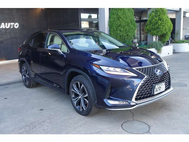 TOYOTA LEXUS RX450H AWD 2022 Image 31