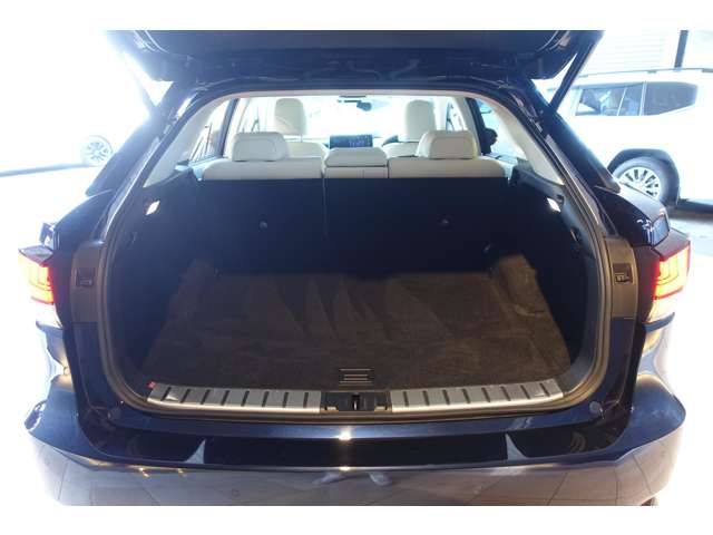 TOYOTA LEXUS RX450H AWD 2022 Image 31