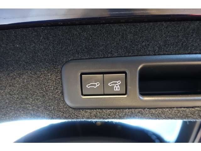 TOYOTA LEXUS RX450H AWD 2022 Image 31