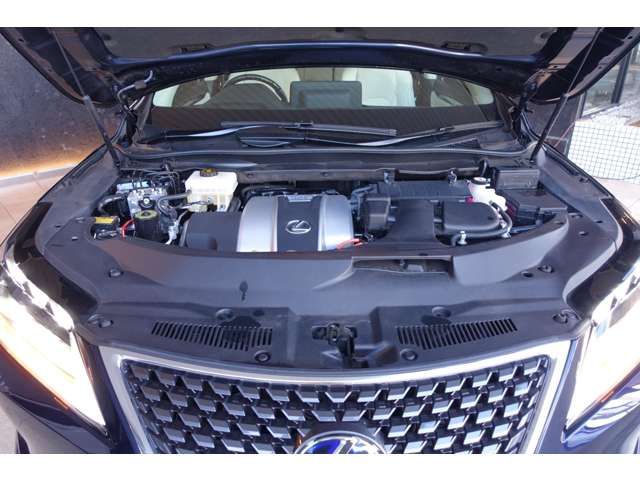 TOYOTA LEXUS RX450H AWD 2022 Image 31