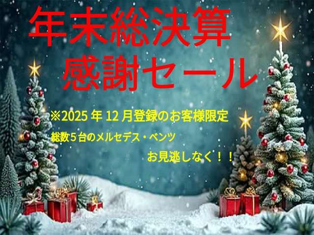 MERCEDES BENZ B CLAS 2024 Image 31